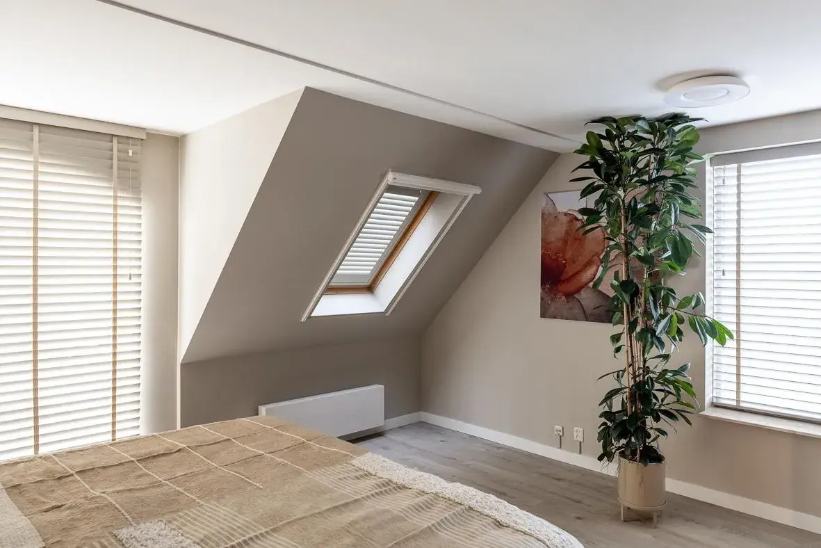 Helles Schlafzimmer mit Dachfenster, großem Pflanzen und moderner Dekoration.